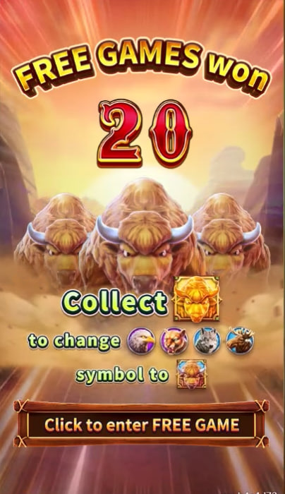 wildbet
