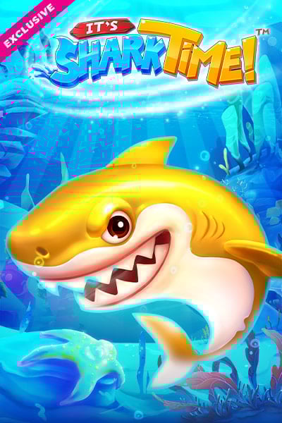 Jogo de aposta kto